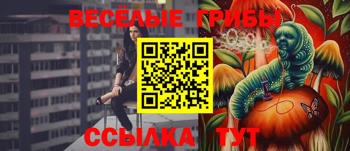 Красногорск  Псилоцибиновые грибы GOLDEN TEACHER  Вход с VPN 